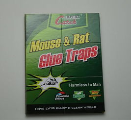 高效環(huán)保，廠家直銷(xiāo)——義烏綠亞環(huán)保粘鼠膠系列產(chǎn)品